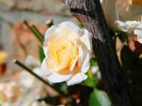 海口市喜环实业有限公司