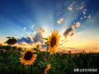 海口市喜环实业有限公司