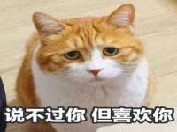 海口市喜环实业有限公司