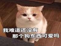 海口市喜环实业有限公司