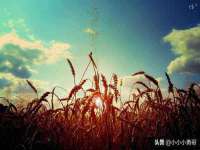 海口市喜环实业有限公司
