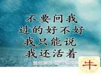 海口市喜环实业有限公司