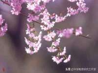 海口市喜环实业有限公司
