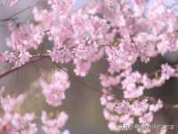 海口市喜环实业有限公司