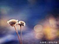 海口市喜环实业有限公司