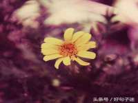 海口市喜环实业有限公司