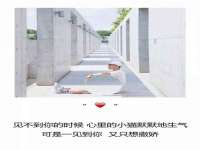 海口市喜环实业有限公司