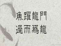 海口市喜环实业有限公司