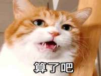 海口市喜环实业有限公司
