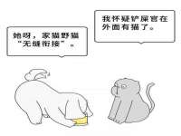 海口市喜环实业有限公司
