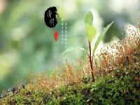 海口市喜环实业有限公司