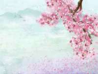 海口市喜环实业有限公司