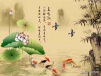 海口市喜环实业有限公司