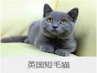 海口市喜环实业有限公司