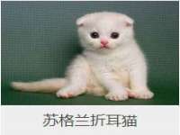 海口市喜环实业有限公司