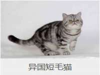 海口市喜环实业有限公司