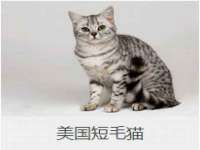 海口市喜环实业有限公司