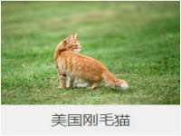 海口市喜环实业有限公司