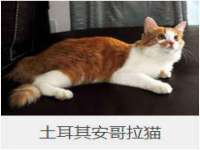 海口市喜环实业有限公司