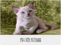 海口市喜环实业有限公司