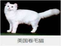 海口市喜环实业有限公司