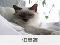 海口市喜环实业有限公司