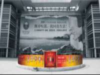 海口市喜环实业有限公司