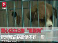 海口市喜环实业有限公司