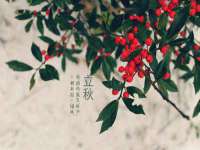 海口市喜环实业有限公司