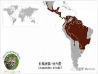 海口市喜环实业有限公司