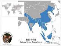 海口市喜环实业有限公司