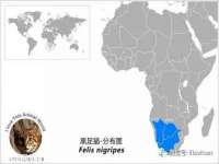 海口市喜环实业有限公司