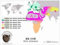 海口市喜环实业有限公司