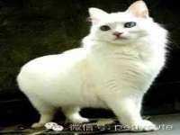 海口市喜环实业有限公司