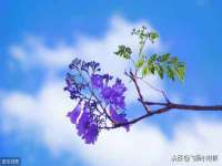 海口市喜环实业有限公司