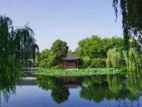 海口市喜环实业有限公司