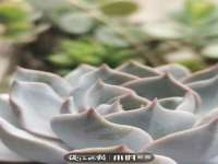海口市喜环实业有限公司