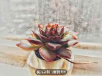 海口市喜环实业有限公司