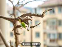 海口市喜环实业有限公司