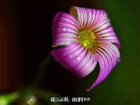 海口市喜环实业有限公司