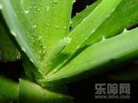 海口市喜环实业有限公司