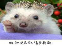 海口市喜环实业有限公司