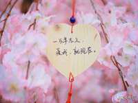 海口市喜环实业有限公司