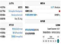 海口市喜环实业有限公司