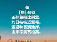 海口市喜环实业有限公司