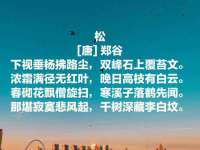 海口市喜环实业有限公司