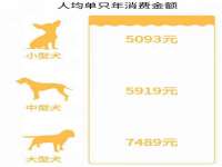 海口市喜环实业有限公司