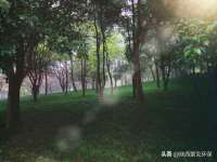 海口市喜环实业有限公司