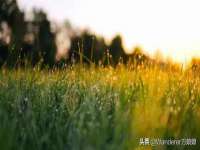 海口市喜环实业有限公司