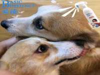 海口市喜环实业有限公司